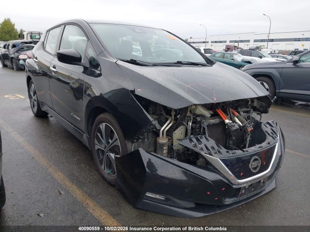 Nissan Leaf 2019 1N4AZ1CP1KC302140 Image 2