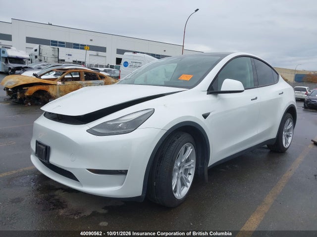 Aukcja sprzedaży 2023 Tesla Model Y, vin: 7SAYGDEEXPF594959, numer aukcji: 40090562