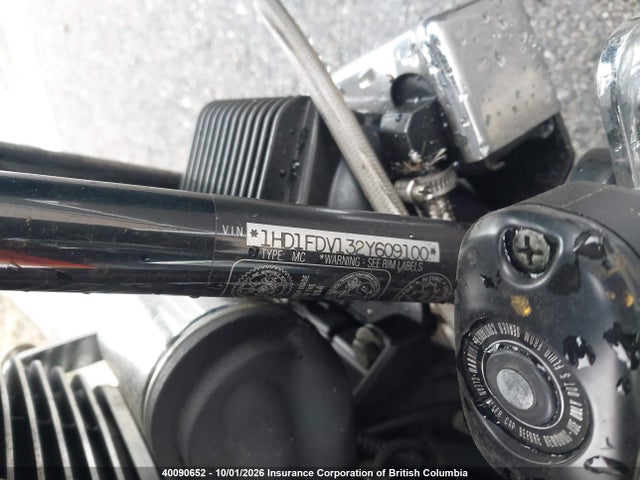 2002 Harley-davidson Flhr მანქანა იყიდება აუქციონზე, vin: 1HD1FDV132Y609100, აუქციონის ნომერი: 40090652
