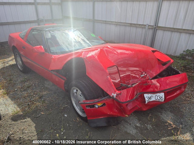 40090662 :رقم المزاد ، 1G1YY2186J5100385 vin ، 1988 Chevrolet Corvette مزاد بيع