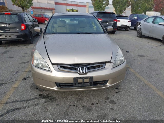 40090720 :رقم المزاد ، 1HGCM56603A812229 vin ، 2003 Honda Accord Ex مزاد بيع