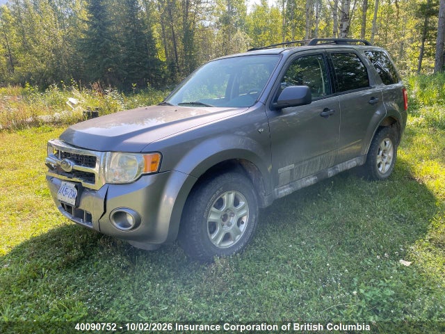 Продаж на аукціоні авто 2008 Ford Escape Xlt, vin: 1FMCU93108KA54050, номер лоту: 40090752
