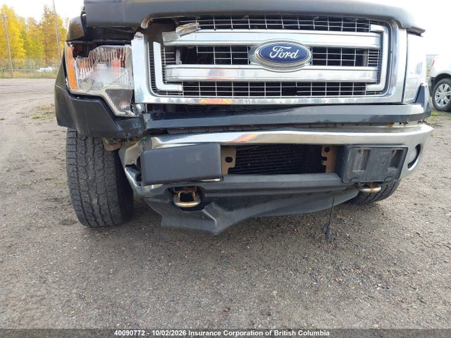 Продаж на аукціоні авто 2013 Ford F150, vin: 1FTFW1ET9DKE31304, номер лоту: 40090772