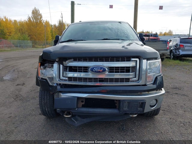 Продаж на аукціоні авто 2013 Ford F150, vin: 1FTFW1ET9DKE31304, номер лоту: 40090772