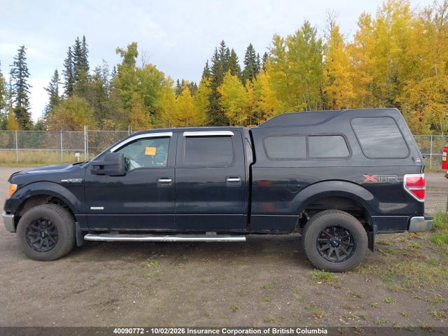 Продаж на аукціоні авто 2013 Ford F150, vin: 1FTFW1ET9DKE31304, номер лоту: 40090772