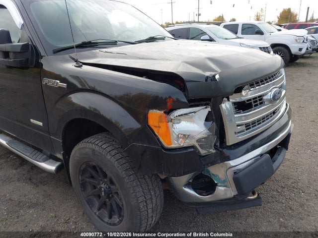 Продаж на аукціоні авто 2013 Ford F150, vin: 1FTFW1ET9DKE31304, номер лоту: 40090772