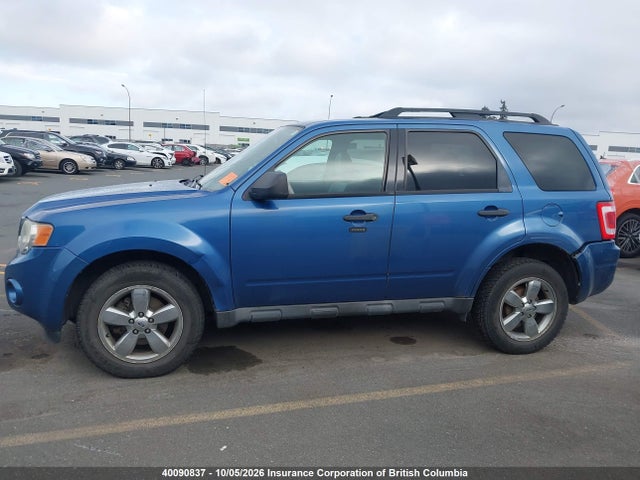 Продажа на аукционе авто 2010 Ford Escape Xlt, vin: 1FMCU9DG7AKB16388, номер лота: 40090837