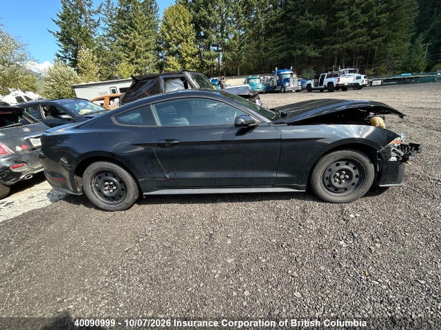 Продажа на аукционе авто 2019 Ford Mustang, vin: 1FA6P8THXK5154667, номер лота: 40090999