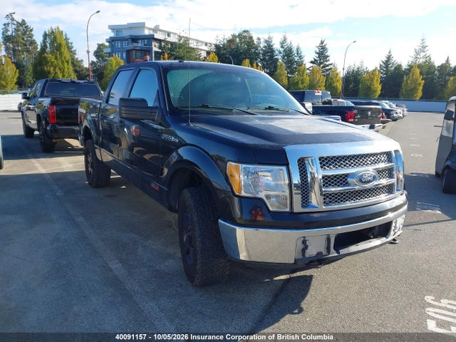 Продажа на аукционе авто 2010 Ford F150, vin: 1FTEW1E88AFC41036, номер лота: 40091157