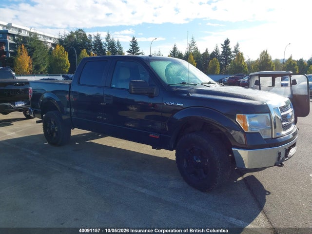 Aukcja sprzedaży 2010 Ford F150, vin: 1FTEW1E88AFC41036, numer aukcji: 40091157