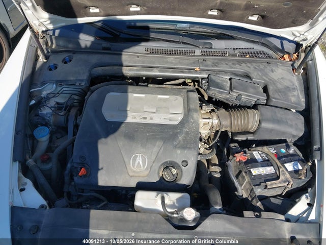 40091213 :رقم المزاد ، 19UUA66217A800886 vin ، 2007 Acura Tl مزاد بيع