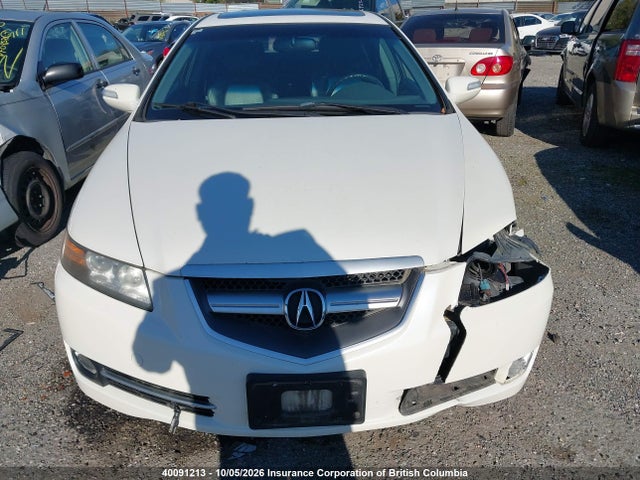 40091213 :رقم المزاد ، 19UUA66217A800886 vin ، 2007 Acura Tl مزاد بيع