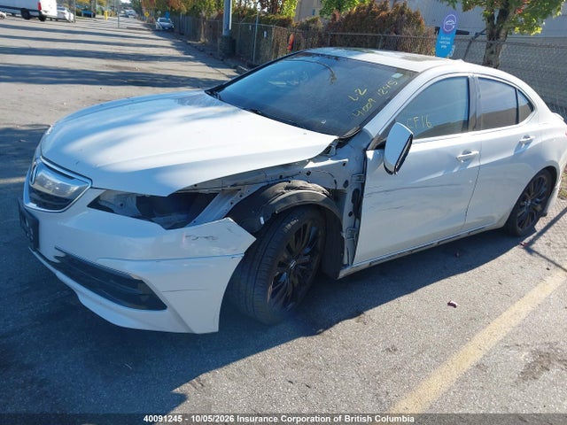 Продаж на аукціоні авто 2017 Acura Tlx, vin: 19UUB1F34HA800309, номер лоту: 40091245