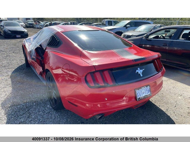 Продаж на аукціоні авто 2017 Ford Mustang, vin: 1FA6P8AM7H5318515, номер лоту: 40091337
