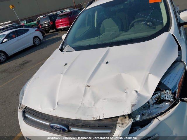 Aukcja sprzedaży 2014 Ford Escape Se, vin: 1FMCU0GX6EUA72384, numer aukcji: 40084526