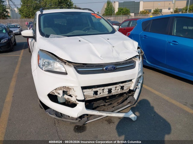 Aukcja sprzedaży 2014 Ford Escape Se, vin: 1FMCU0GX6EUA72384, numer aukcji: 40084526