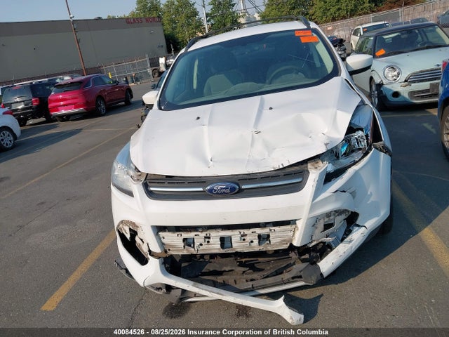Aukcja sprzedaży 2014 Ford Escape Se, vin: 1FMCU0GX6EUA72384, numer aukcji: 40084526