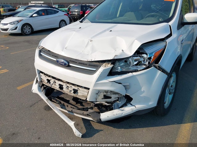Aukcja sprzedaży 2014 Ford Escape Se, vin: 1FMCU0GX6EUA72384, numer aukcji: 40084526
