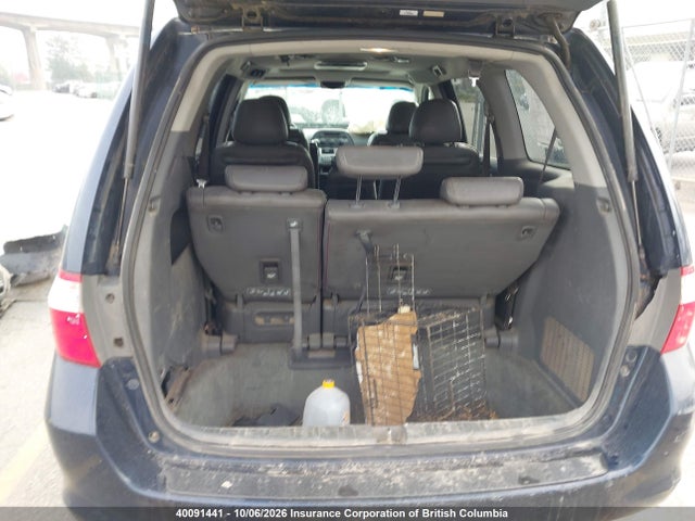 2005 Honda Odyssey Exl მანქანა იყიდება აუქციონზე, vin: 5FNRL38775B501557, აუქციონის ნომერი: 40091441