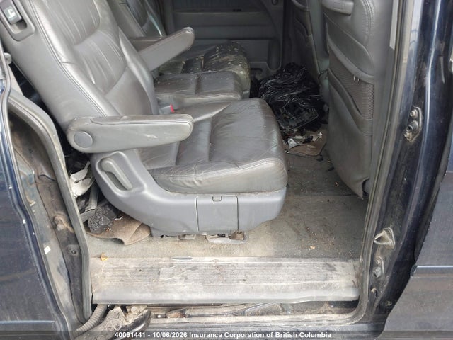2005 Honda Odyssey Exl მანქანა იყიდება აუქციონზე, vin: 5FNRL38775B501557, აუქციონის ნომერი: 40091441