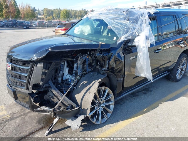 Cadillac Escalade Premium Luxury 2020 1GYS4CKJ2LR239709 Image 6