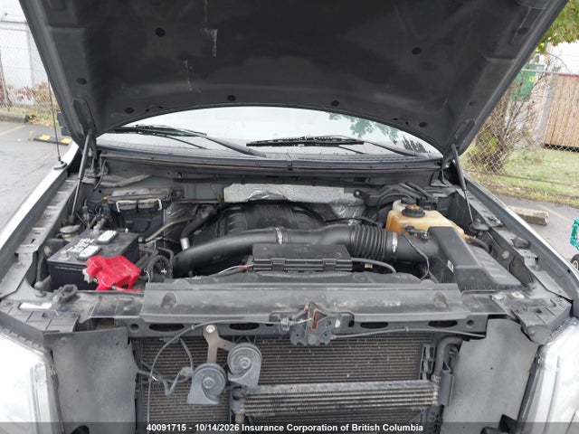 40091715 :رقم المزاد ، 1FTFW1ET4DFB25118 vin ، 2013 Ford F150 مزاد بيع