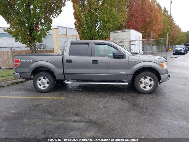 40091715 :رقم المزاد ، 1FTFW1ET4DFB25118 vin ، 2013 Ford F150 مزاد بيع