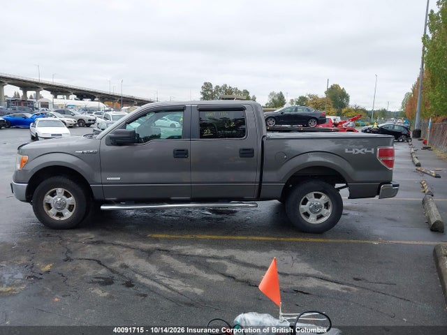40091715 :رقم المزاد ، 1FTFW1ET4DFB25118 vin ، 2013 Ford F150 مزاد بيع