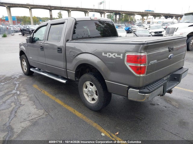 40091715 :رقم المزاد ، 1FTFW1ET4DFB25118 vin ، 2013 Ford F150 مزاد بيع