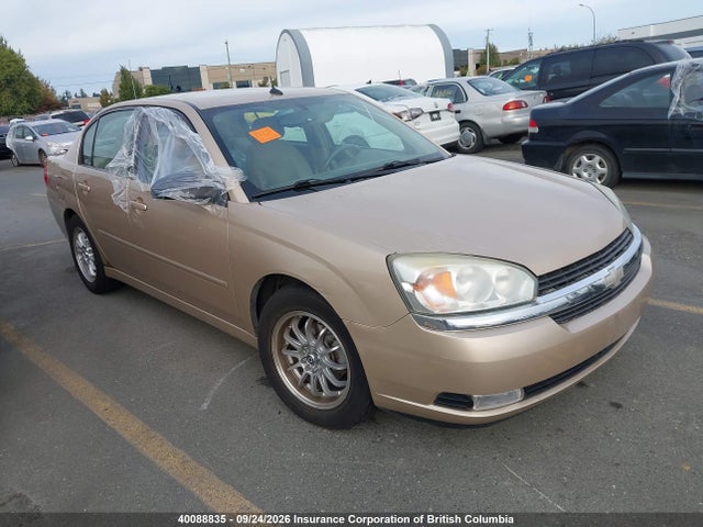 40088835 :رقم المزاد ، 1G1ZU54894F117516 vin ، 2004 Chevrolet Malibu Lt مزاد بيع