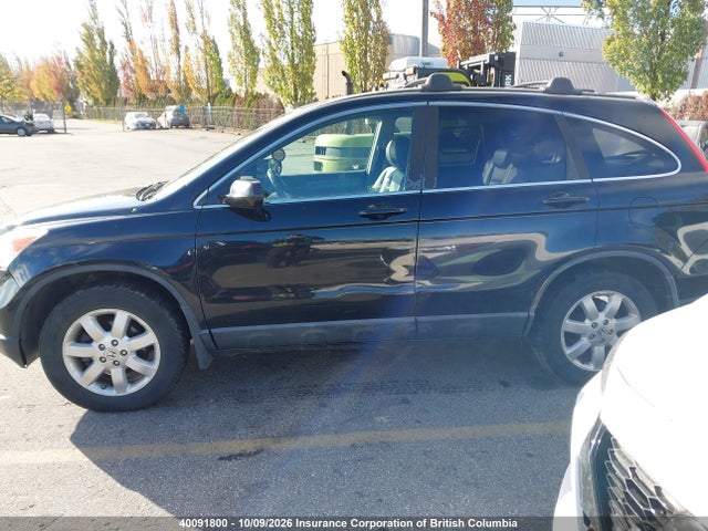 Продаж на аукціоні авто 2009 Honda Cr-v, vin: 5J6RE48719L805495, номер лоту: 40091800