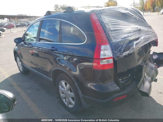 Продаж на аукціоні авто 2009 Honda Cr-v, vin: 5J6RE48719L805495, номер лоту: 40091800