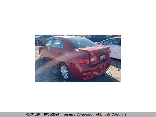 40091828 :رقم المزاد ، 2T1BU40E29C079948 vin ، 2009 Toyota Corolla S/le/xle مزاد بيع