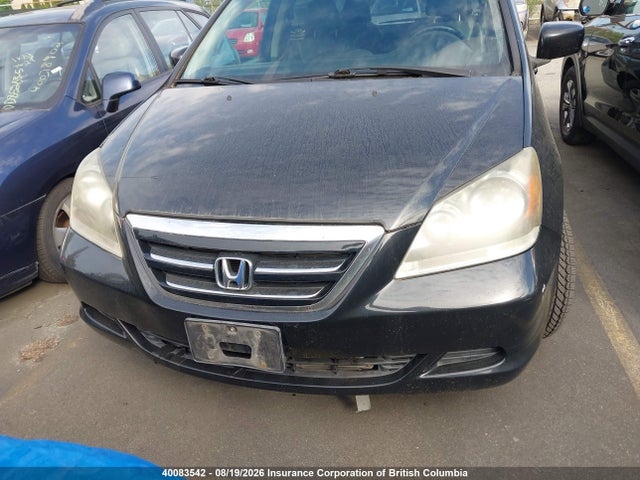 Продаж на аукціоні авто 2007 Honda Odyssey Exl, vin: 5FNRL38687B506101, номер лоту: 40083542
