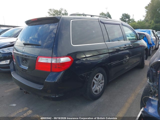 Продаж на аукціоні авто 2007 Honda Odyssey Exl, vin: 5FNRL38687B506101, номер лоту: 40083542