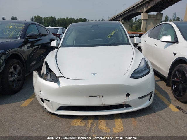 Tesla Model Y 2021 5YJYGDEE6MF091891 Image 13