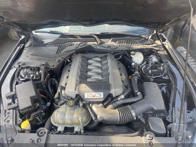 Продажа на аукционе авто 2016 Ford Mustang Gt, vin: 1FA6P8CF1G5313145, номер лота: 40091889