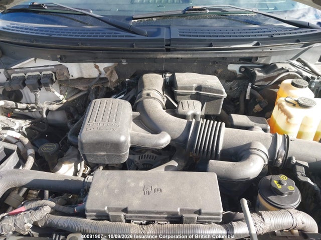 Aukcja sprzedaży 2010 Ford F150, vin: 1FTFW1EV4AFB80391, numer aukcji: 40091907