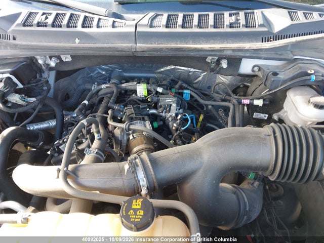 Продаж на аукціоні авто 2020 Ford F150, vin: 1FTEW1EP9LFA02282, номер лоту: 40092025