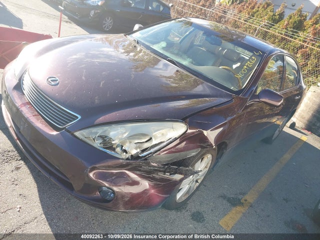 Auction sale of the 2005 Lexus Es330, vin: JTHBA30G055065685, lot number: 40092263