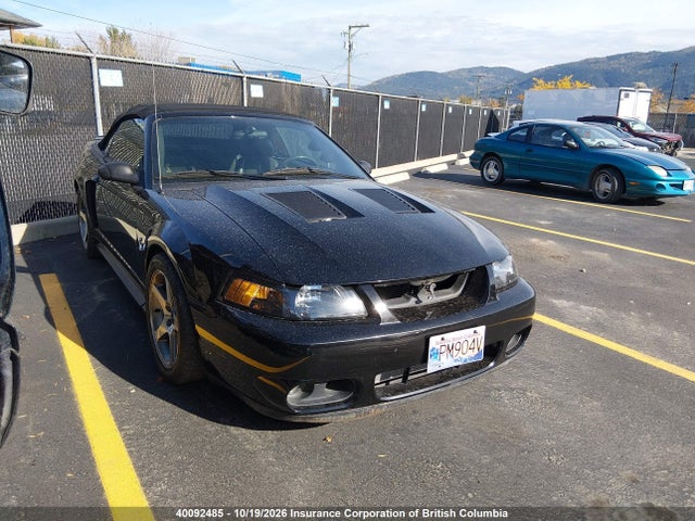 2004 Ford Mustang Cobra Svt მანქანა იყიდება აუქციონზე, vin: 1FAFP49Y54F188013, აუქციონის ნომერი: 40092485