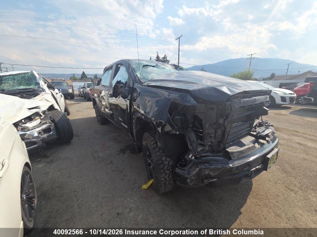 3GTUUCE80RG435311 auction archive image