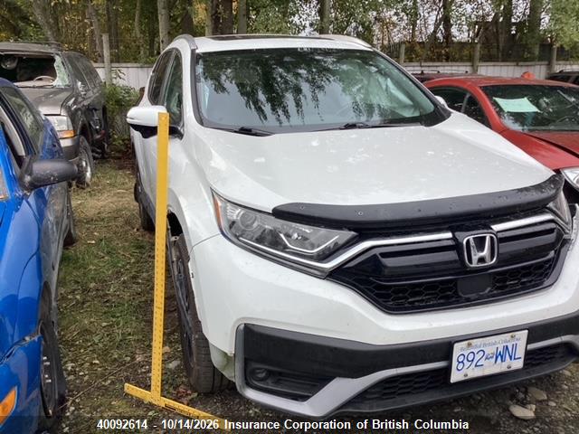 40092614 :رقم المزاد ، 2HKRW2H82LH225670 vin ، 2020 Honda Cr-v مزاد بيع