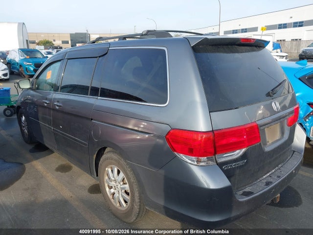 40091995 :رقم المزاد ، 5FNRL38629B503617 vin ، 2009 Honda Odyssey Exl مزاد بيع