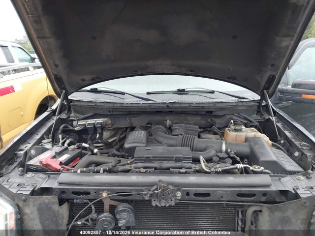 2010 Ford F150 მანქანა იყიდება აუქციონზე, vin: 1FTFW1EV5AFB31510, აუქციონის ნომერი: 40092857