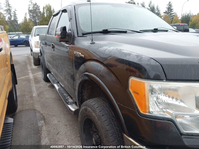 2010 Ford F150 მანქანა იყიდება აუქციონზე, vin: 1FTFW1EV5AFB31510, აუქციონის ნომერი: 40092857
