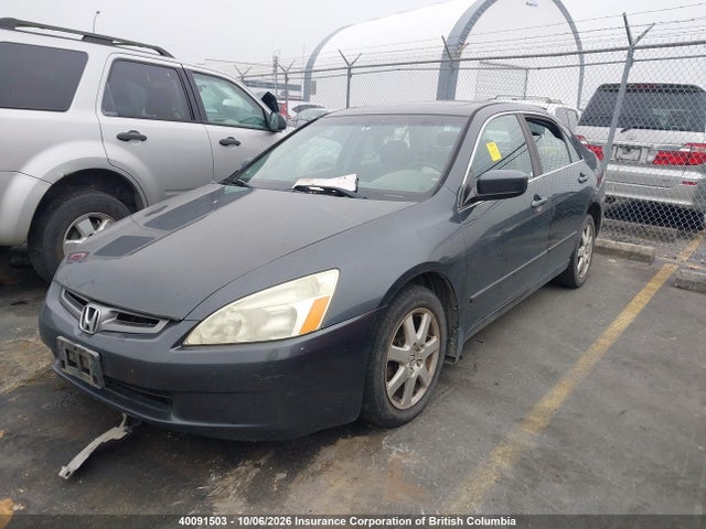 40091503 :رقم المزاد ، 1HGCM66515A803944 vin ، 2005 Honda Accord Ex مزاد بيع