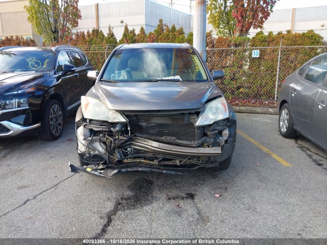 Продажа на аукционе авто 2010 Honda Cr-v, vin: 5J6RE4H72AL808362, номер лота: 40093366