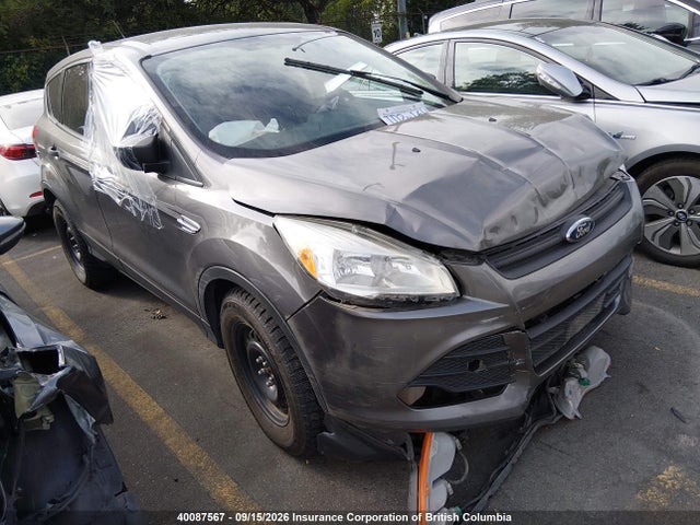 Продаж на аукціоні авто 2013 Ford Escape S, vin: 1FMCU0F76DUB87695, номер лоту: 40087567