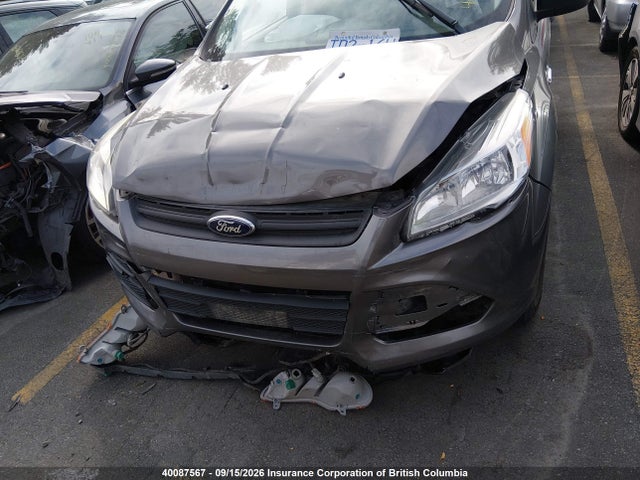 Продаж на аукціоні авто 2013 Ford Escape S, vin: 1FMCU0F76DUB87695, номер лоту: 40087567